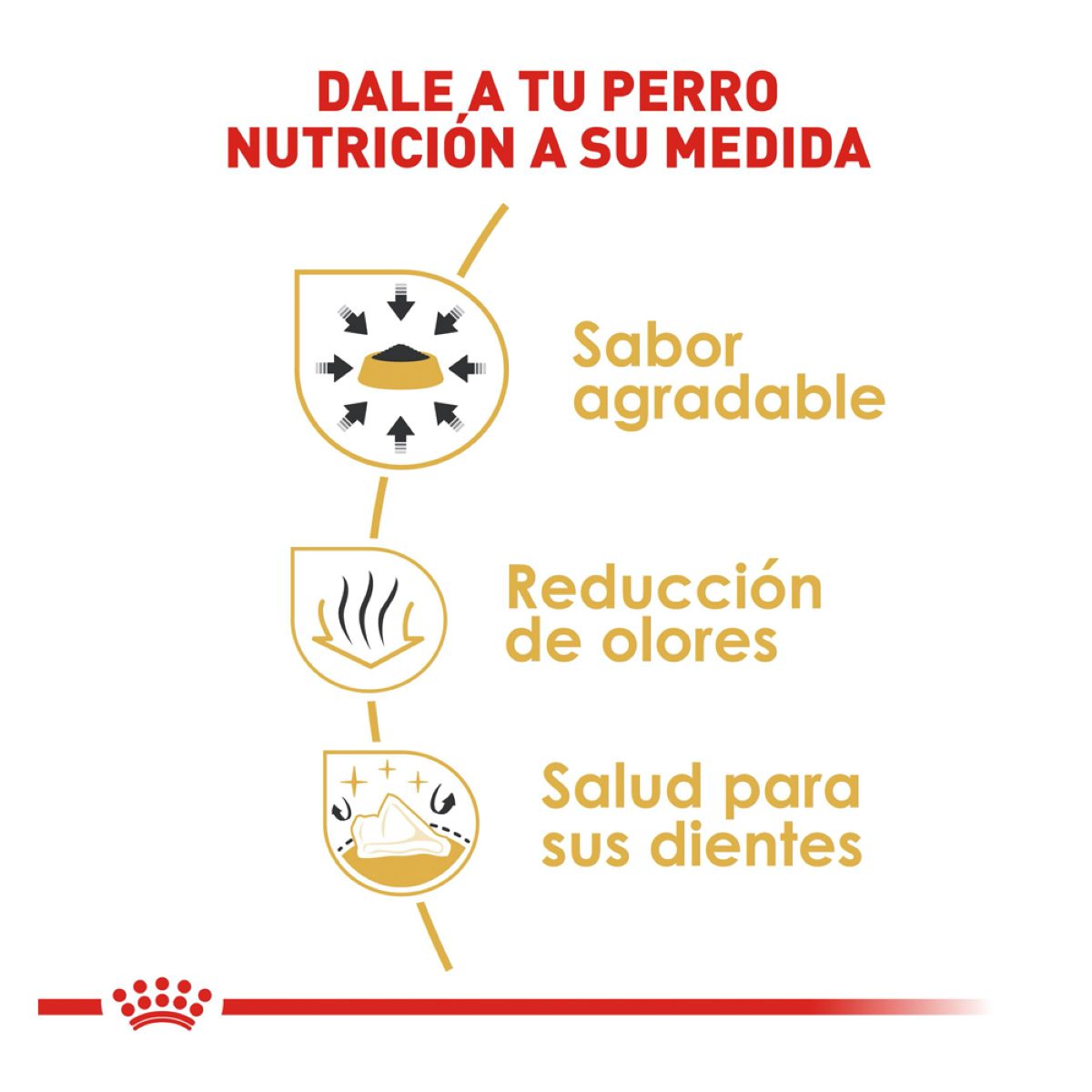 Royal Canin Chihuahua Adulto Royal Canin Chihuahua Adulto